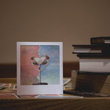 MEMORY BY Balala Zheng & Billy Yeung